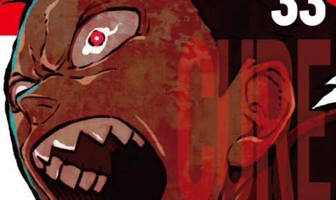 炎炎ノ消防隊 33巻セット 炎炎ノ消防隊(33) (少年マガジンコミックス) | 大久保 篤 |本