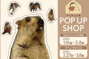 マーモット村 ポップアップストア in 新宿・阿倍野 1月15日より開催!
