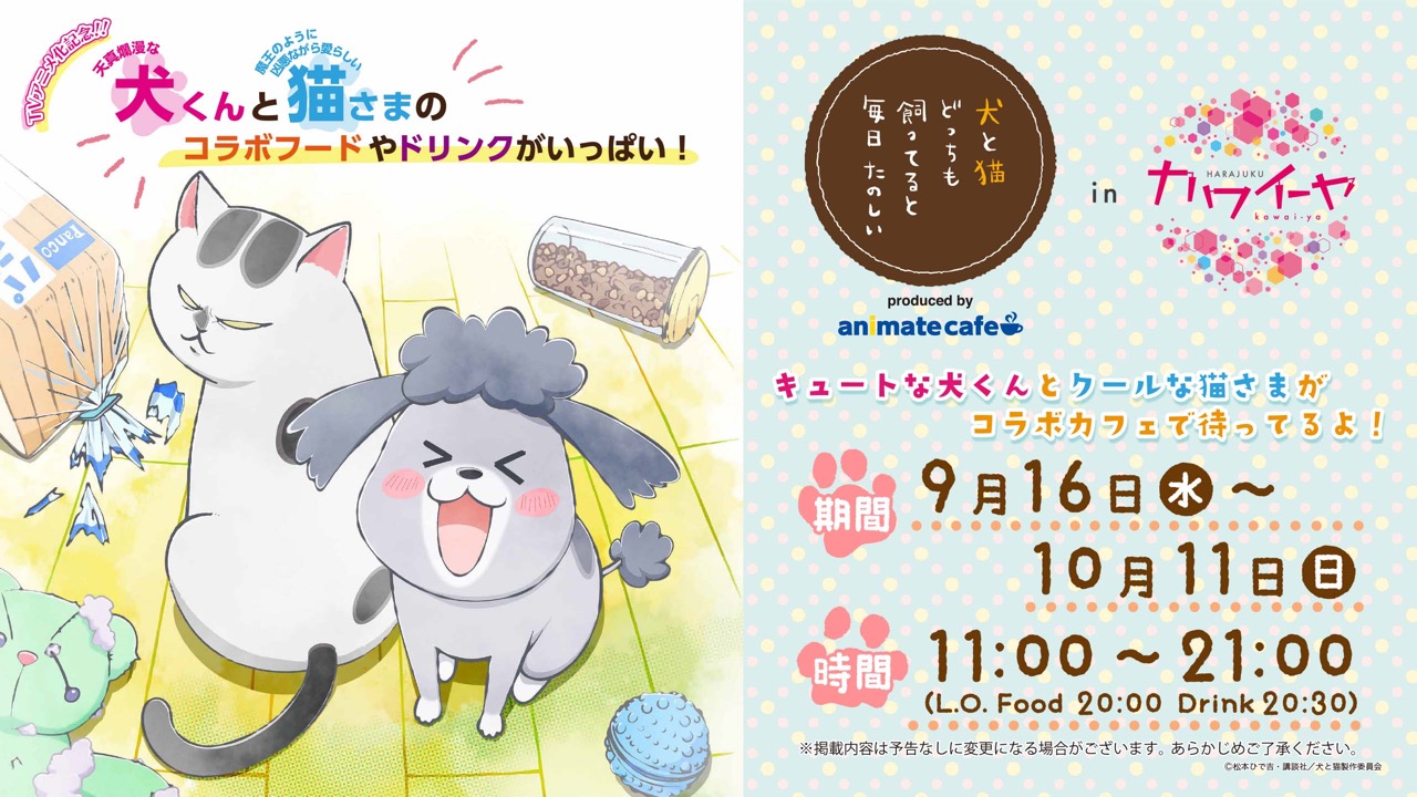 犬と猫カフェ In 原宿カワイーヤ 9 16 10 11 リバイバルコラボ開催