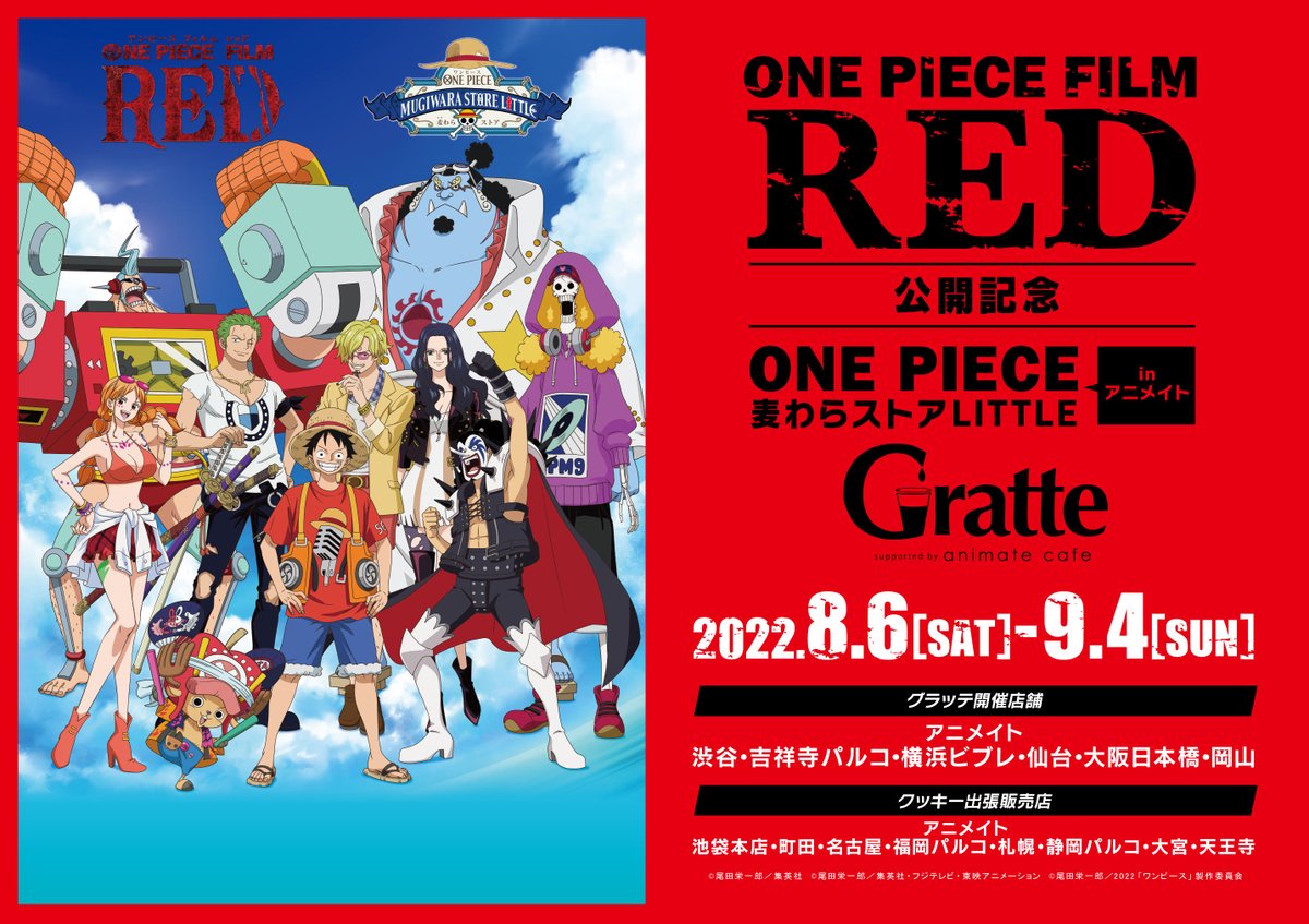 ONE PIECE (ワンピース) × グラッテ 8月6日よりコラボ開催!