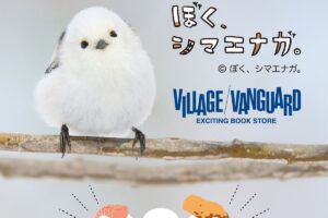 ぼく、シマエナガ。× ヴィレヴァン 限定コラボグッズ 4月7日より発売!