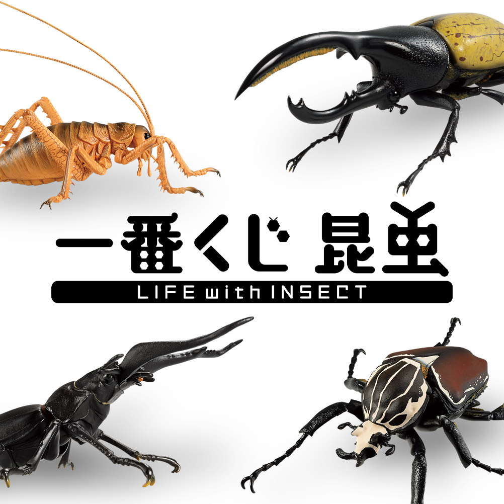 一番くじ 昆虫 LIFE with INSECT 7.30より原寸大の昆虫フィギュア発売!