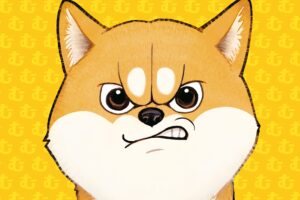 シバつき物件 × しまむら 4月1日よりコラボアイテム登場!