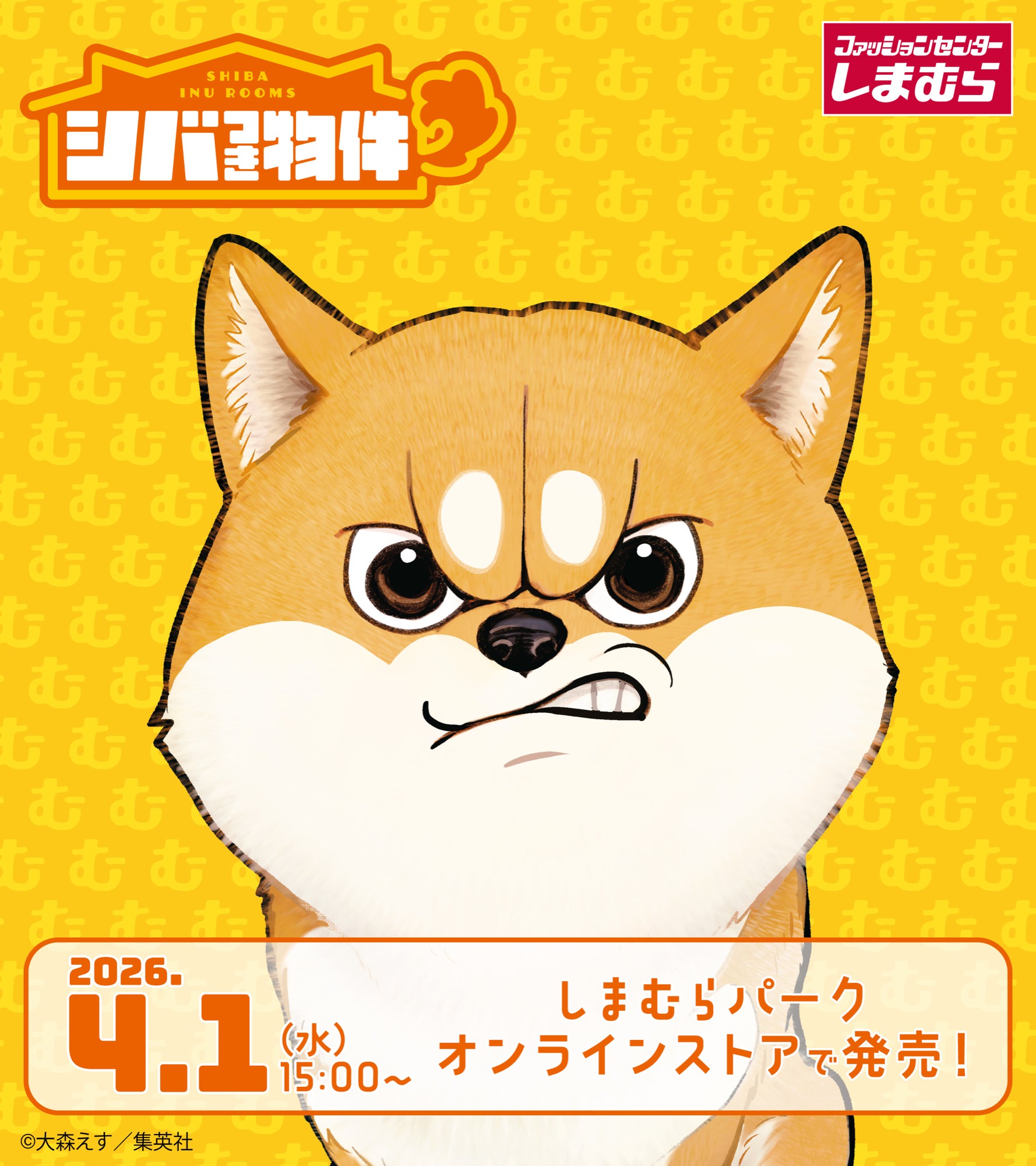 シバつき物件 × しまむら 4月1日よりコラボアイテム登場!