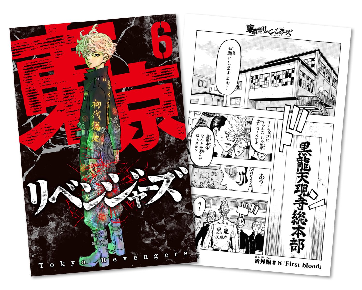 東京卍リベンジャーズ DVD特典 ブックレット - 青年漫画