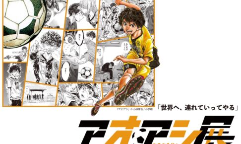 【美品】アオアシ6〜31巻(11月末まで) Amazon.co.jp: アオアシ (6) (ビッグコミックス) : 小林 有吾