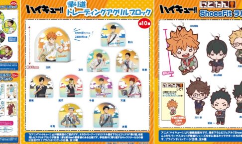 ノンジャンル　アニメ　グッズ　まとめ売り　ハイキュー!! 5143bIh3DBL._AC_SY200_QL15_.jpg