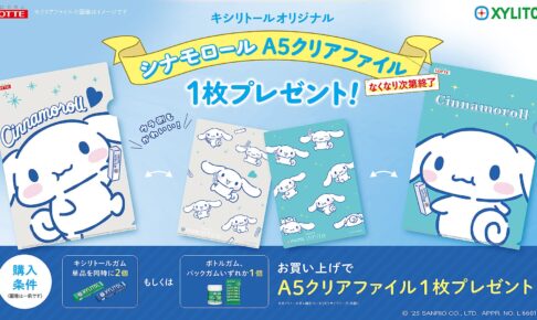 シナモロール × ロッテガム A5クリアファイルプレゼント 6月3日