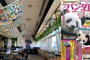 パンダ自身カフェ in 新宿・STORY STORY 12月21日よりコラボ開催!