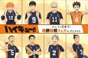 ハイキュー!! みんなの背番号! 烏野高校フェア in アニメイト 10月4日開催!