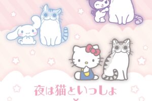 夜は猫といっしょ × サンリオ コラボストア in TSUTAYA 2月15日より開催!