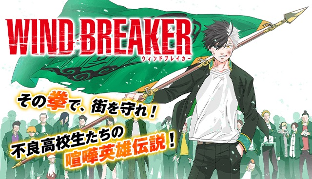 WIND BREAKER (ウィンドブレーカー) 最新刊 第12巻 6月8日発売!