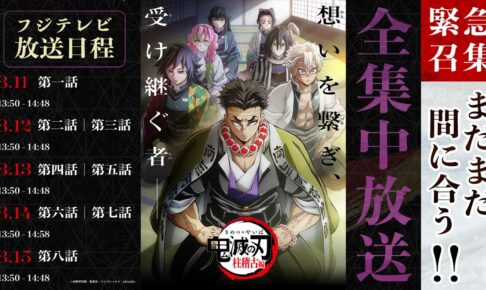 美品　貴重　レア　鬼滅の刃　柱稽古編　宣伝用　ポスター　B2サイズ　フジテレビ 鬼滅の刃 柱展 キービジュアル プレミアムポスター 集合サイズ