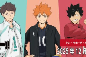 ハイキュー!! 新作別注アイテム ドンキ/アピタ全国にて12月13日より発売!