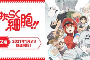 TVアニメ第2期「はたらく細胞!!」2021年1月9日より放送!