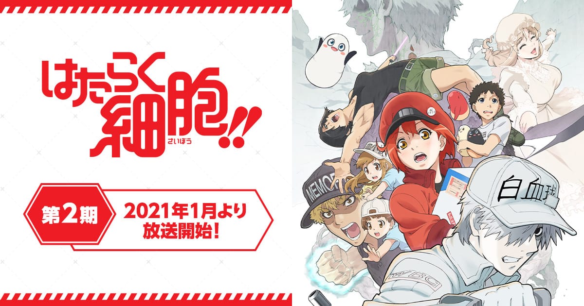 TVアニメ第2期「はたらく細胞!!」2021年1月9日より放送!