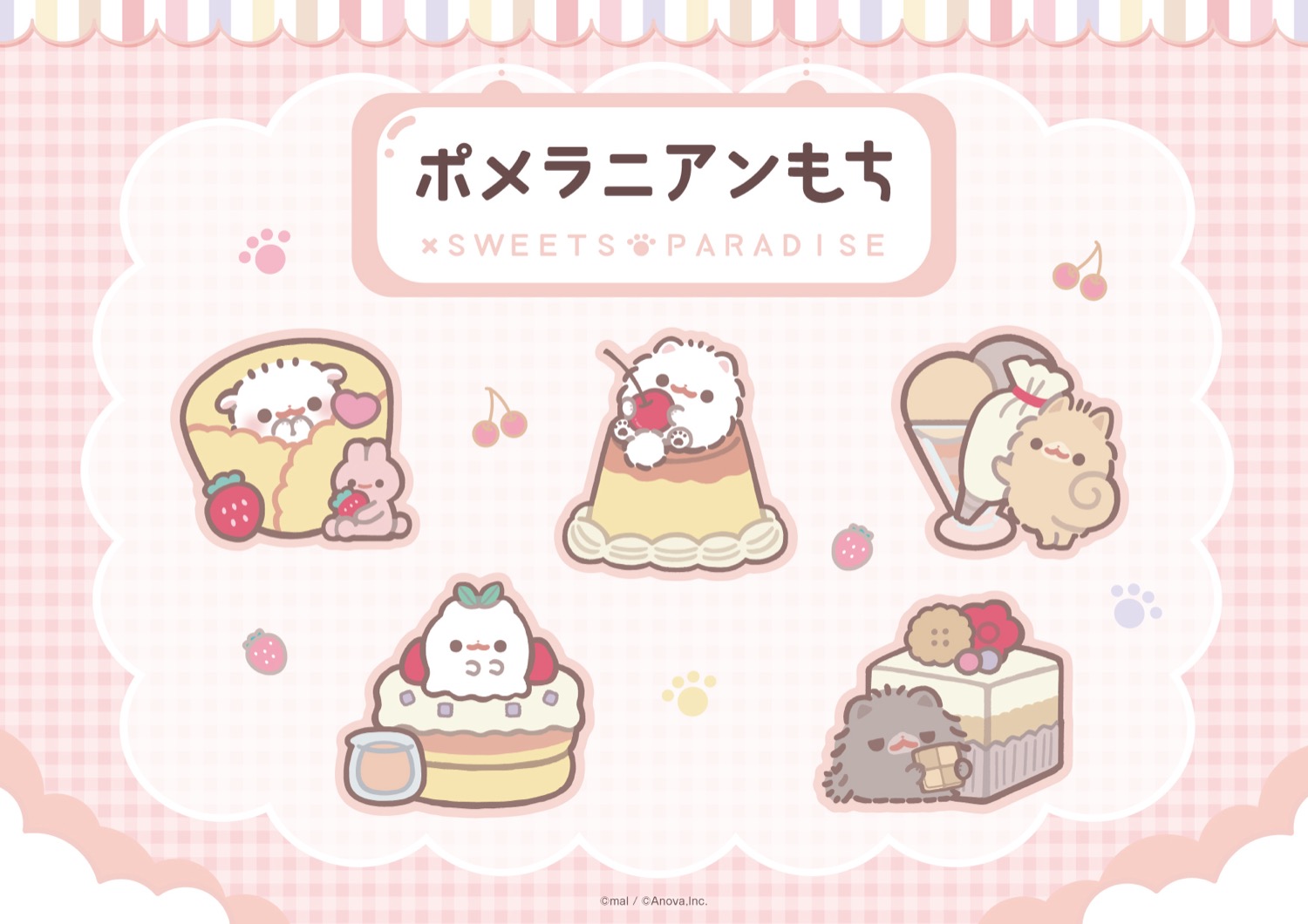 ポメラニアンもち カフェ in 原宿/横浜/神戸 11月1日よりコラボ開催!