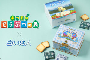 あつもり × 白い恋人 8月14日よりジュンのコラボ缶が数量限定発売!