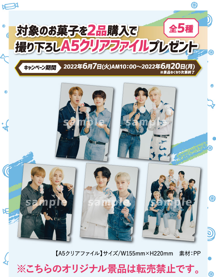 StrayKids Family Mart アクスタ ファイル | www.kinderpartys.at