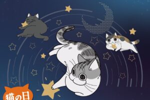 夜は猫といっしょ × ドンキ 2月22日よりキュルガたちのグッズ登場!