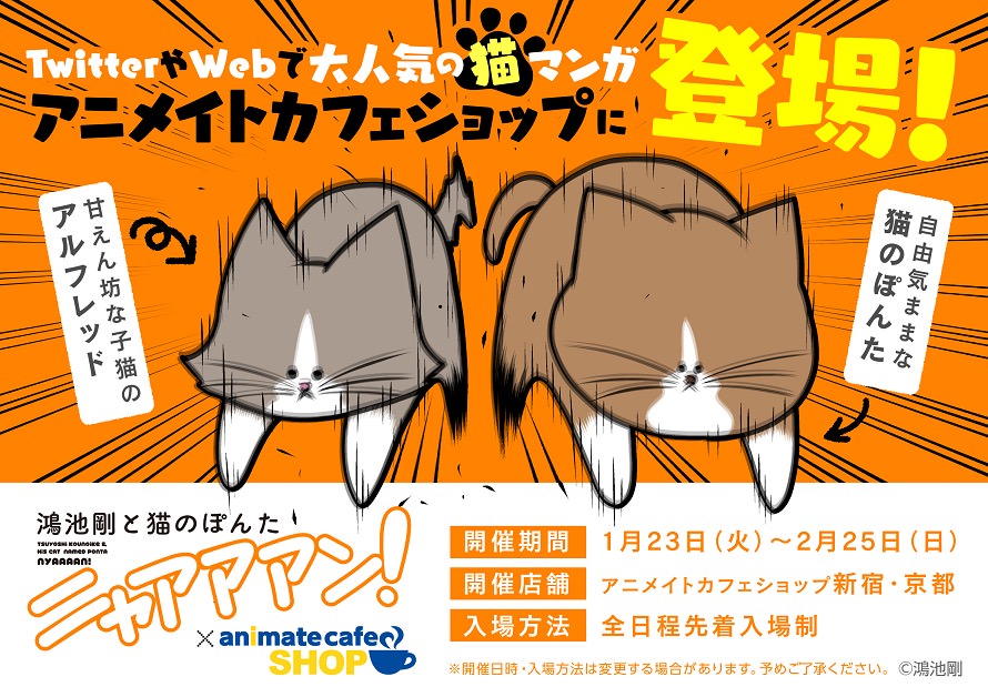 Twitterで大人気! 鴻池剛と猫のぽんた x アニメイトカフェ新宿/京都で開催!