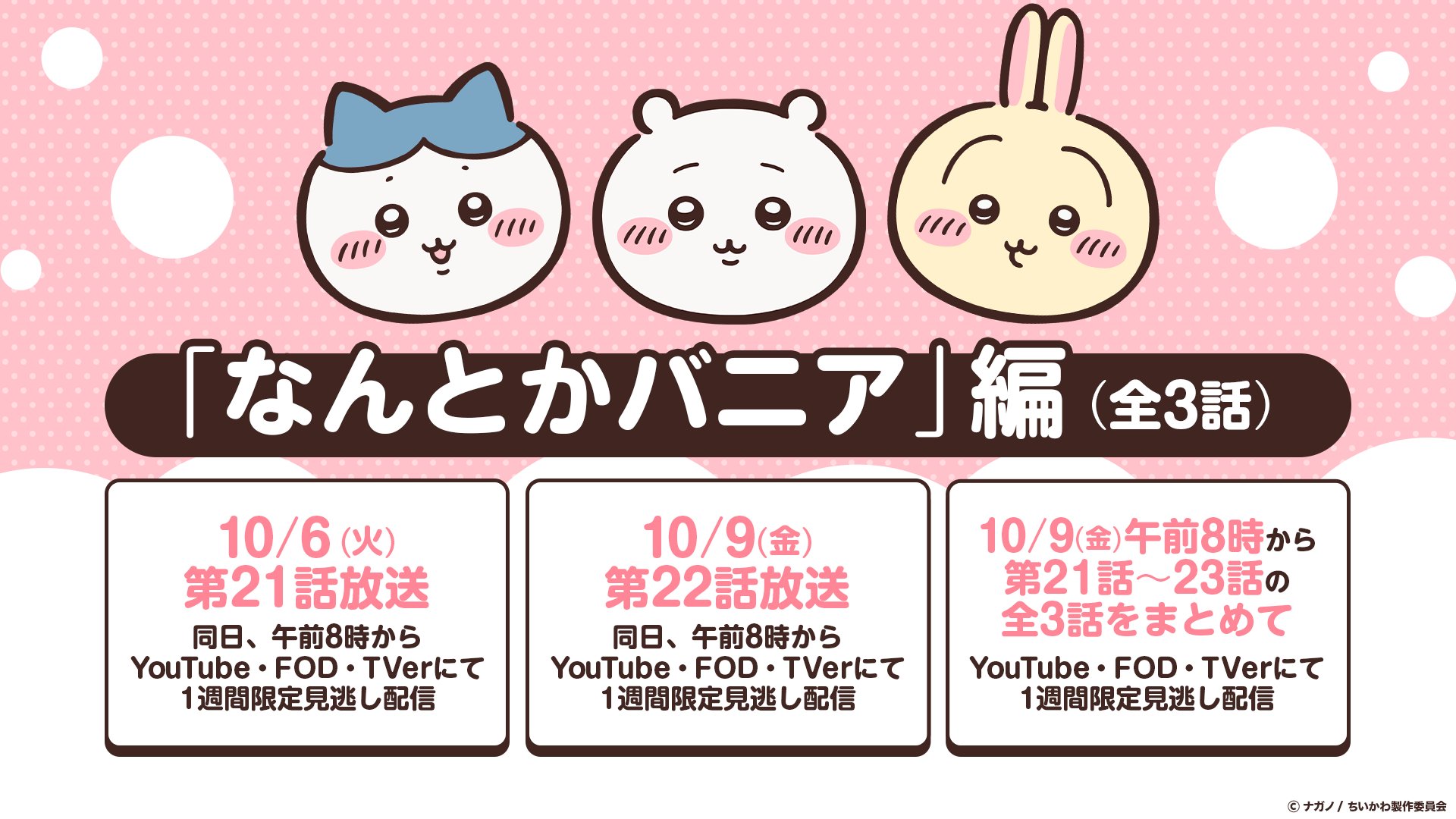 アニメちいかわ リバイバル放送 なんとかバニア編