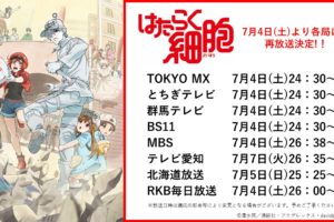 TVアニメ「はたらく細胞 (第1期)」 2020年7月4日より再放送決定!!