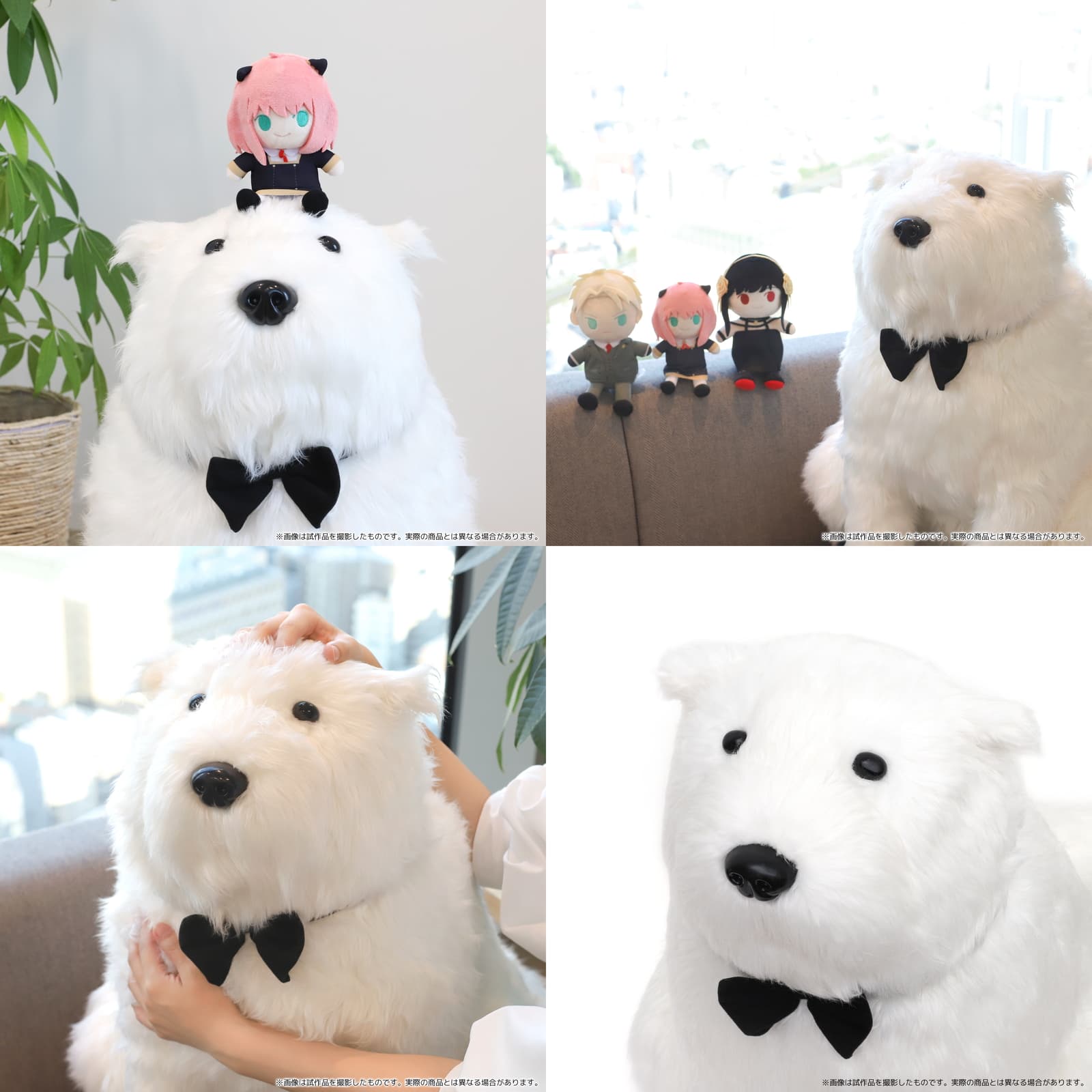 SPY×FAMILY 大きな白い犬 ”ボンド”のぬいぐるみ 発売決定! (受注生産品)