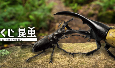 一番くじ 昆虫 Life With Insect 7 30より原寸大の昆虫フィギュア発売