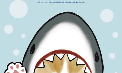 mofusand サメにゃんストア in 新江ノ島水族館 3月17日より開催!