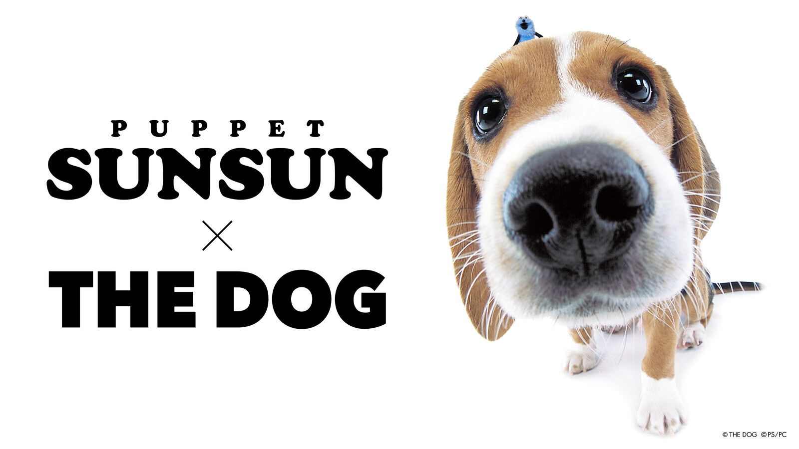パペットスンスン × THE DOG Tシャツ 10月31日より発売!